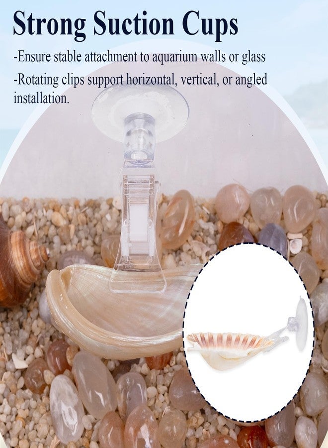 Niuohoy 5 Pcs Betta Fish Bed Shell Hammock Betta Resting Spot with Suction Cups Natural Shell Hideouts & Spawning Grounds for Betta, Shrimp, Cichlid, Small Fish Tank Decorations - Image 3
